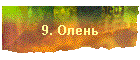 9. Олень